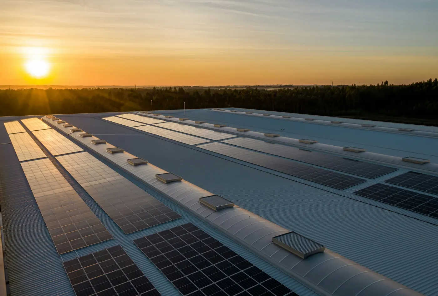 Rows of solar panels on a large commercial rooftop at sunset