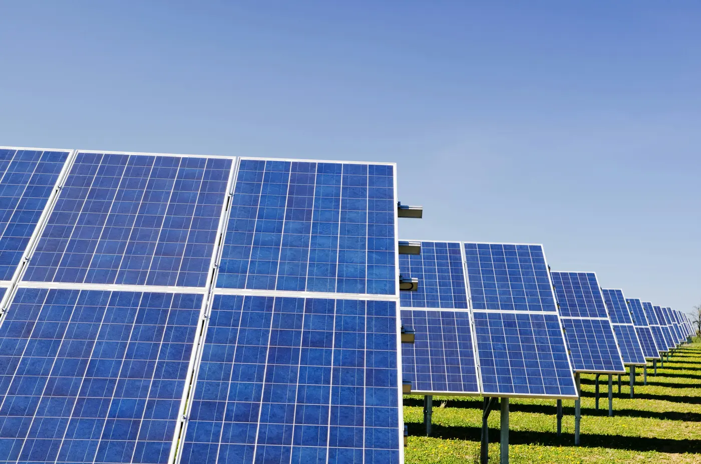 Rows of solar panels on grass under a clear sky